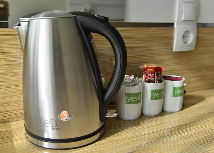 호텔 Yesil Yildirim 부루사